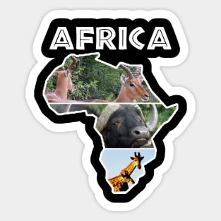 African Wildlife Continent Collage Sticker